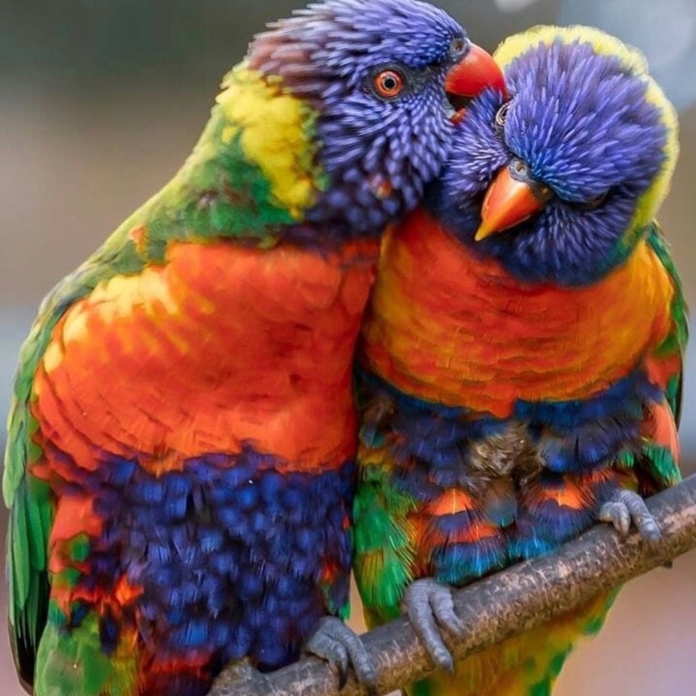 BUY NOW! MAJOR PRICE DROP (BUNDLE&SAVE) - Picture 8 of 11